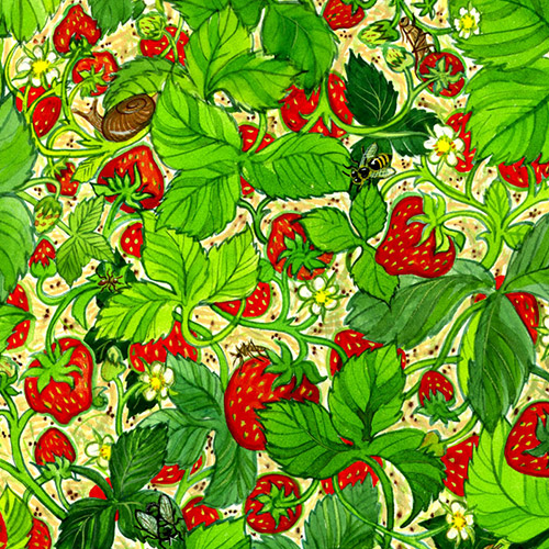 Berry Buggy Illustration